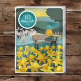 Josephs Smile Everyday Charity Card Pack