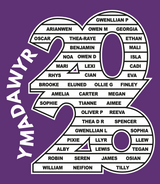 Dyffryn y Glowyr / Tshirts