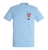Ysgol Cwmafan / T-shirts