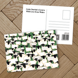 Full range of Postcards