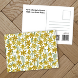 Full range of Postcards