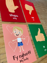 All About Me Welsh Language Flash Cards // Cardiau Fflach Popeth Amdanaf i