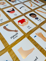 All About Me Welsh Language Flash Cards // Cardiau Fflach Popeth Amdanaf i