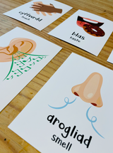 All About Me Welsh Language Flash Cards // Cardiau Fflach Popeth Amdanaf i