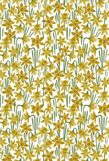 DAFFODIL MEADOW A4 PRINT / FRAMED AND UNFRAMED