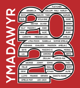 Ysgol Rhosafan / Tshirts