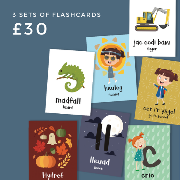 3 sets of Welsh Language Flash Cards for £30